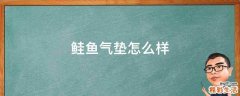 鲑鱼气垫怎么样