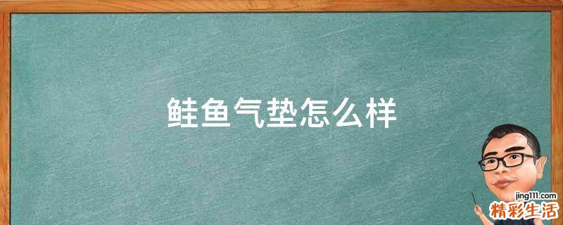 鲑鱼气垫怎么样