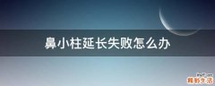 鼻小柱延长失败怎么办