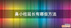 鼻小柱延长有哪些方法