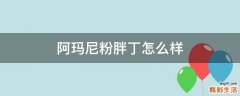 阿玛尼粉胖丁怎么样