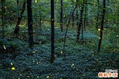 春季頭痛吃什么好