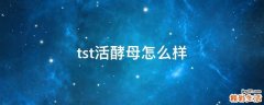 tst活酵母怎么样