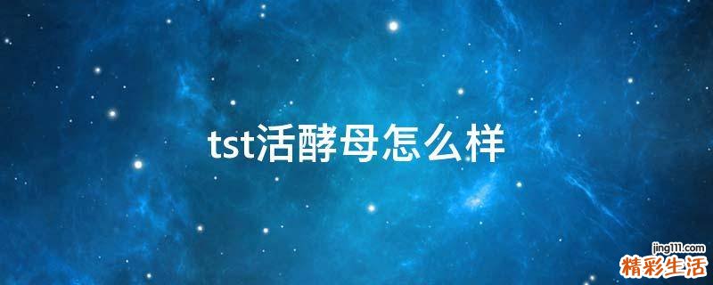 tst活酵母怎么样
