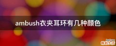 ambush衣夹耳环有几种颜色