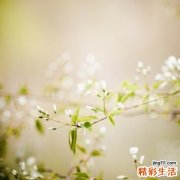 什么叫酸中毒?