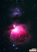 胡蘿卜的功效與作用