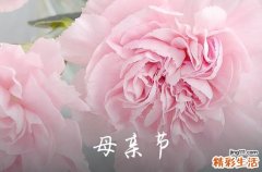 祝母亲节快乐的祝福金句 祝母亲节快乐的祝福说说