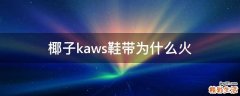椰子kaws鞋带为什么火
