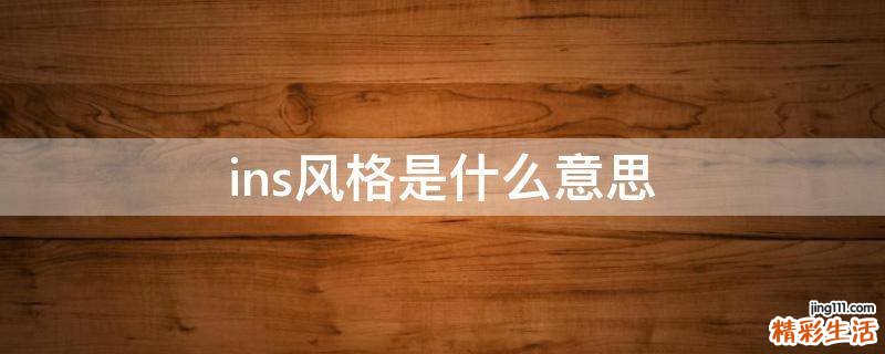 ins风格是什么意思