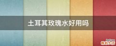 土耳其玫瑰水好用吗