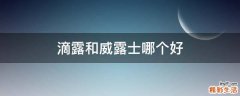 滴露和威露士哪个好