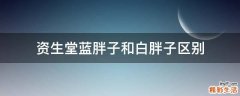 资生堂蓝胖子和白胖子区别