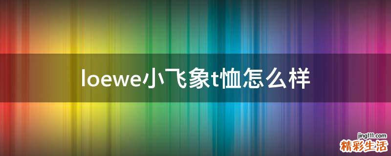 loewe小飞象t恤怎么样