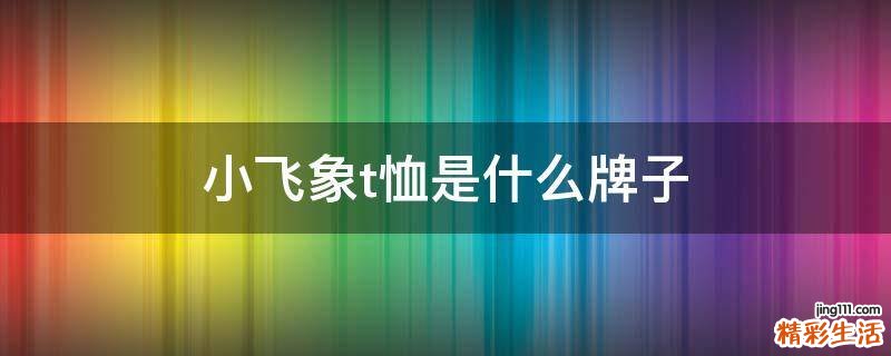 小飞象t恤是什么牌子