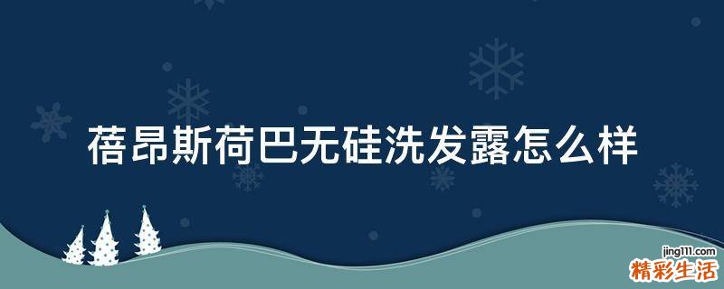 蓓昂斯荷巴无硅洗发露怎么样
