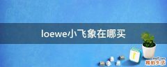 loewe小飞象在哪买