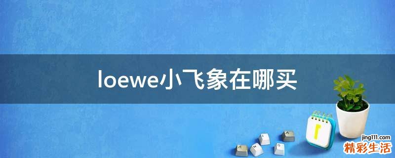 loewe小飞象在哪买