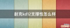 耐克kd12支撑性怎么样