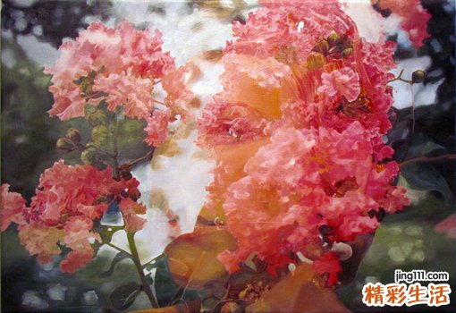 4 河套大黄
