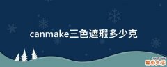 canmake三色遮瑕多少克