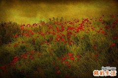 2 上班族身體健康有隱憂 當(dāng)心靜坐生活方式癥