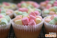 菟丝子的功效与作用