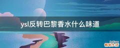 ysl反轉巴黎香水什么味道