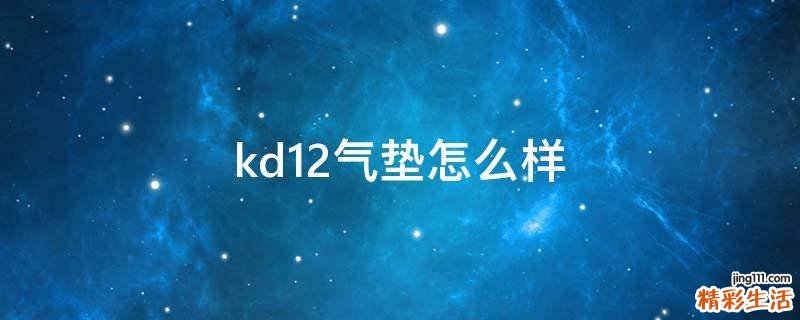 kd12气垫怎么样