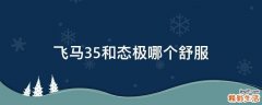飞马35和态极哪个舒服