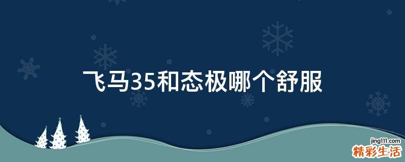 飞马35和态极哪个舒服