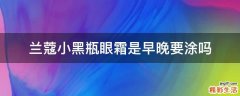 蘭蔻小黑瓶眼霜是早晚要涂嗎