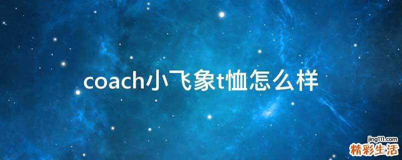 coach小飛象t恤怎么樣