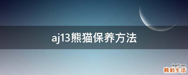 aj13熊猫保养方法