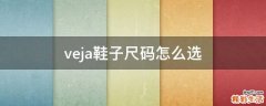 veja鞋子尺码怎么选