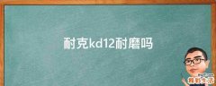 耐克kd12耐磨嗎