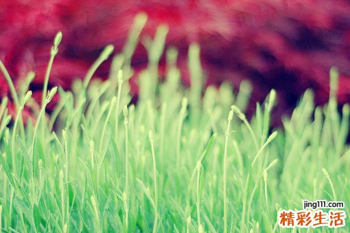 剖析小兒發(fā)燒的兩大病因