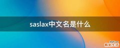 saslax中文名是什么