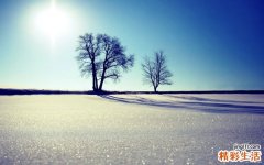 小兒驚厥的原因及預(yù)防