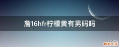 詹16hfr檸檬黃有男碼嗎