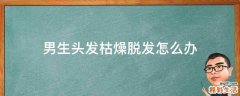 男生头发枯燥脱发怎么办