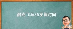 耐克飞马36发售时间