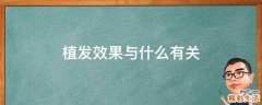 植发效果与什么有关