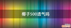 椰子500透气吗