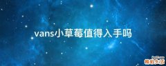 vans小草莓值得入手吗