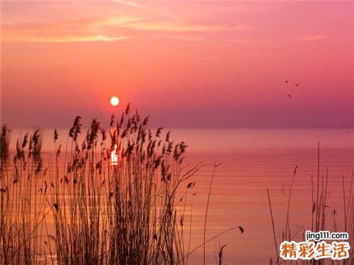 2 春季饮食养生掌握的几大原则
