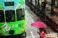 酚类物质暴露致白细胞总数减少调查分析