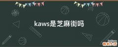 kaws是芝麻街吗