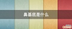 鼻基底是什么