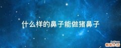 什么样的鼻子能做猪鼻子